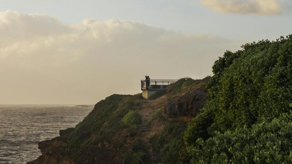 Quelles sont les meilleures techniques pour se protéger des moustiques en camping?