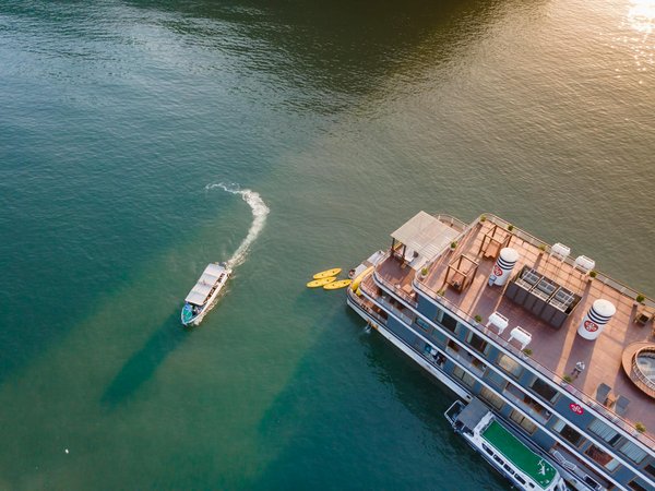 Quelle croisière permet de participer à des projets de conservation de la faune en Afrique?