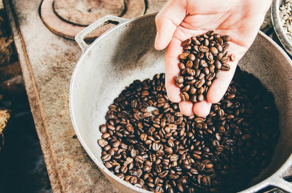 Comment organiser une visite des plantations de café en Colombie ?