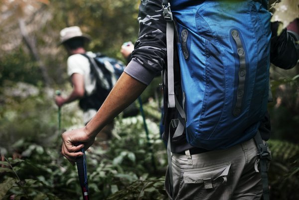 Où participer à des treks pour observer les oiseaux migrateurs en Algarve, Portugal ?